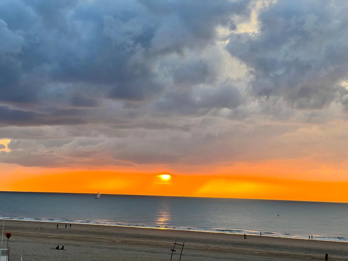 Cosy Studio Testerep , Newly Renovated Oostende Buitenkant foto